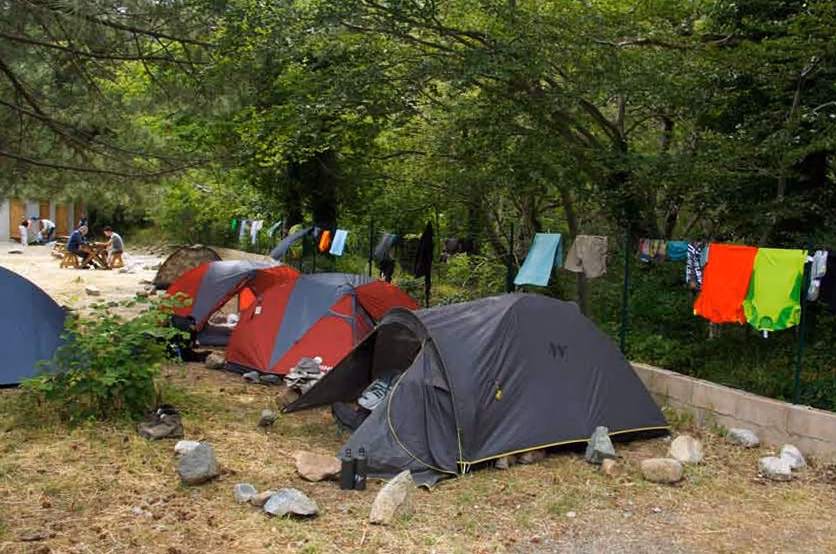 Cabanes de France ou Huttopia : où dormir perché en 2026