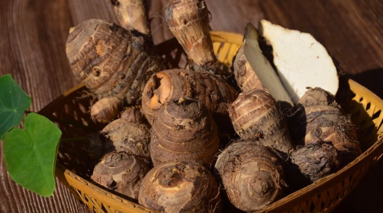 Les 5 meilleures adresses pour déguster la truffe du Périgord
